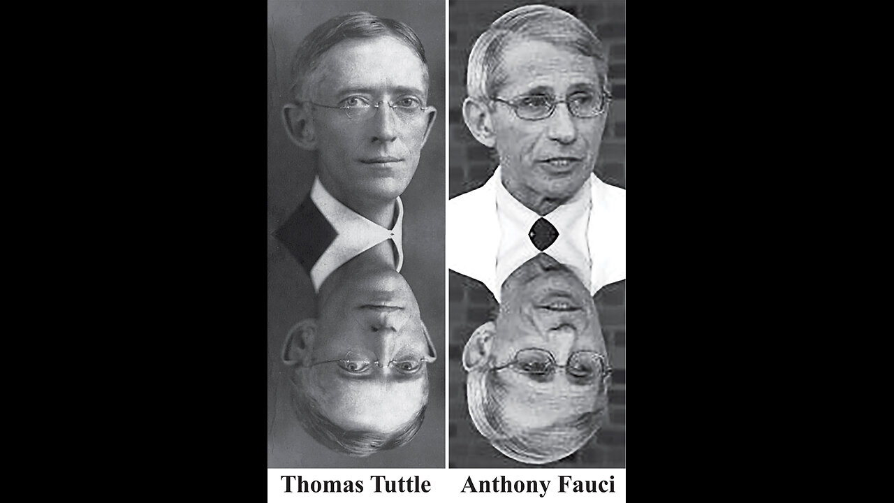 THE ANTIDOTE - The Explosive Truth, Origin, and Antidote for Covid 19