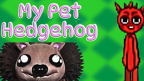 IS My Pet Hedgehog SECRETLY EVIL?