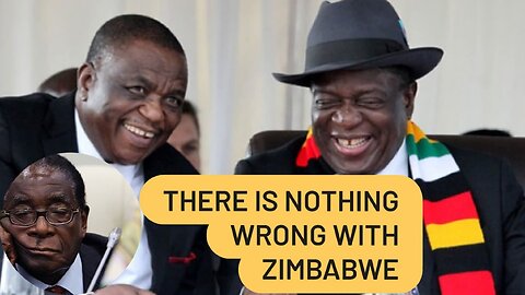 There is Nothing Wrong With Zimbabwe [It's Working As it Should Be]