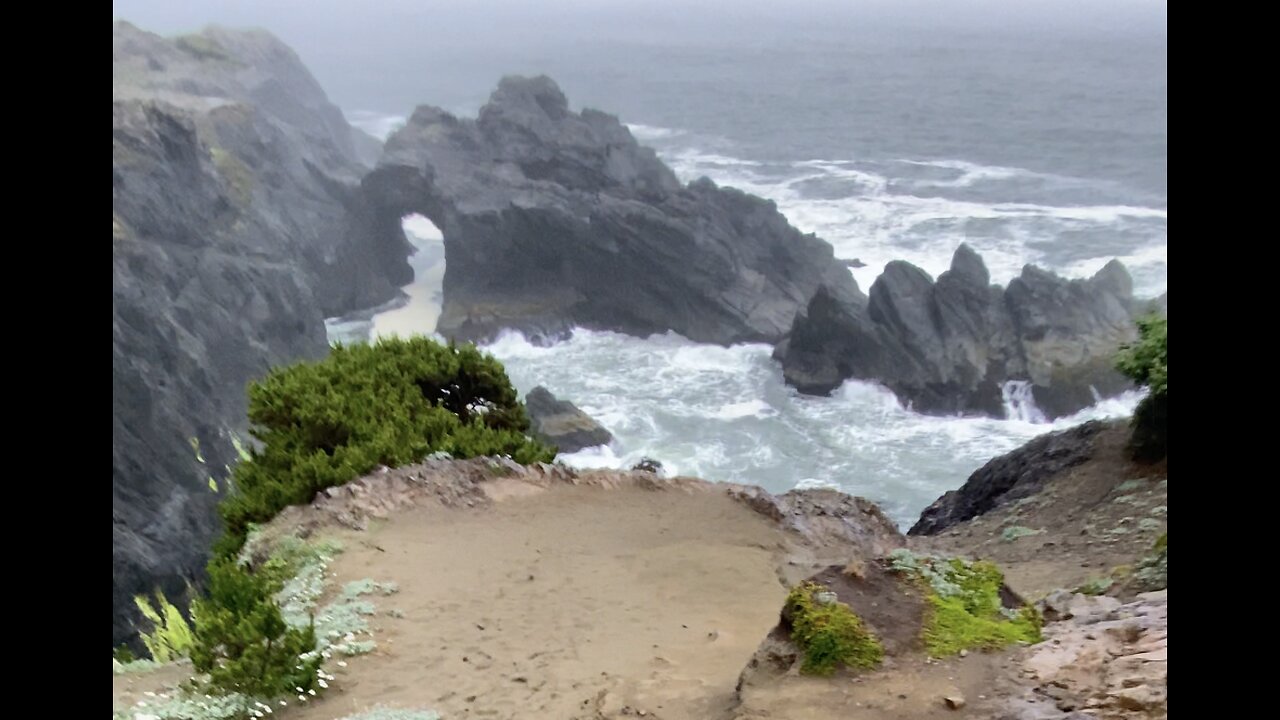 Exploring Oregon’s Breathtaking Coastal Trails and Ocean Views 🌊🏞