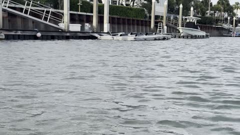 SHEM CREEK