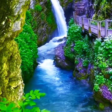 My Eyes Were Blessed to Witness This Beautiful Heavenly Kingdom 🤩😍