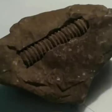 Workers_uncovered_gruesome_finds_inside_the_qu