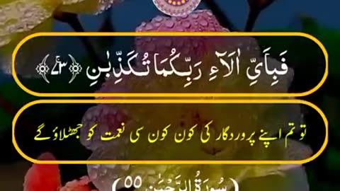 Beshak 💯♥️✨