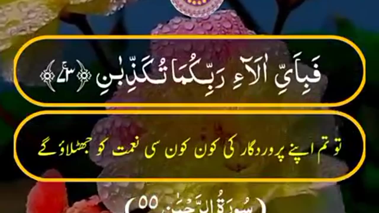 Beshak 💯♥️✨