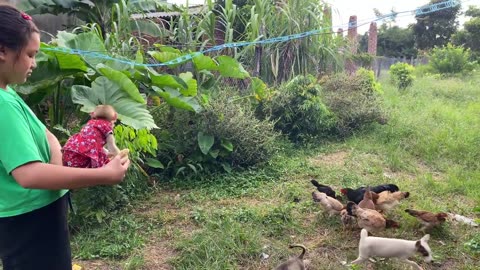 18.Monkey Zim helps Aunt Loan feed corn to the chickens - Zim Family