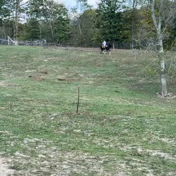 Malachi and Luke 10/13/2024 E