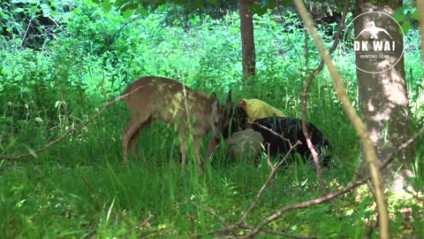 Incredible secret of the Woods! Kids playing with a Reender! Just watch!