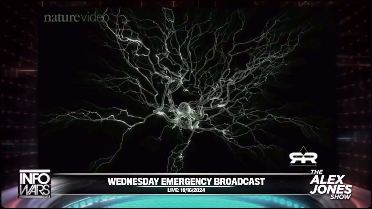 Reese Report about the nanotech in the Covid shots
