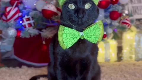 Don’t be such a grinch