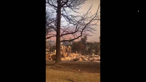 More Footage of the Fire Devastation Made Possible by Woke Democrat Policies