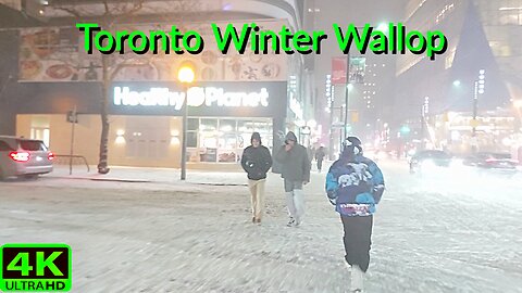 【4K】Big Winter Storm hits Toronto Downtown snow storm walk Canada 🇨🇦