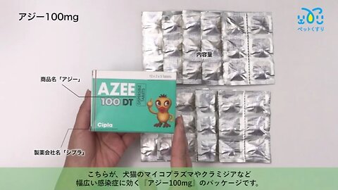 アジー100mg60錠（ジスロマックジェネリック）