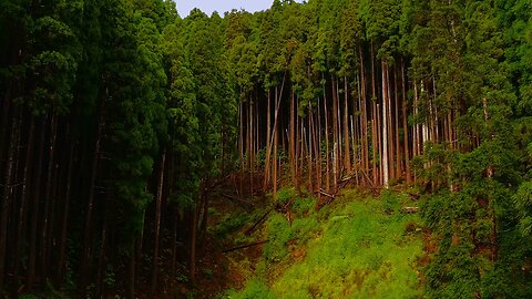 Discover the Azores: Europe's Best-Kept Secret 🌊 | Breathtaking 4K Landscapes