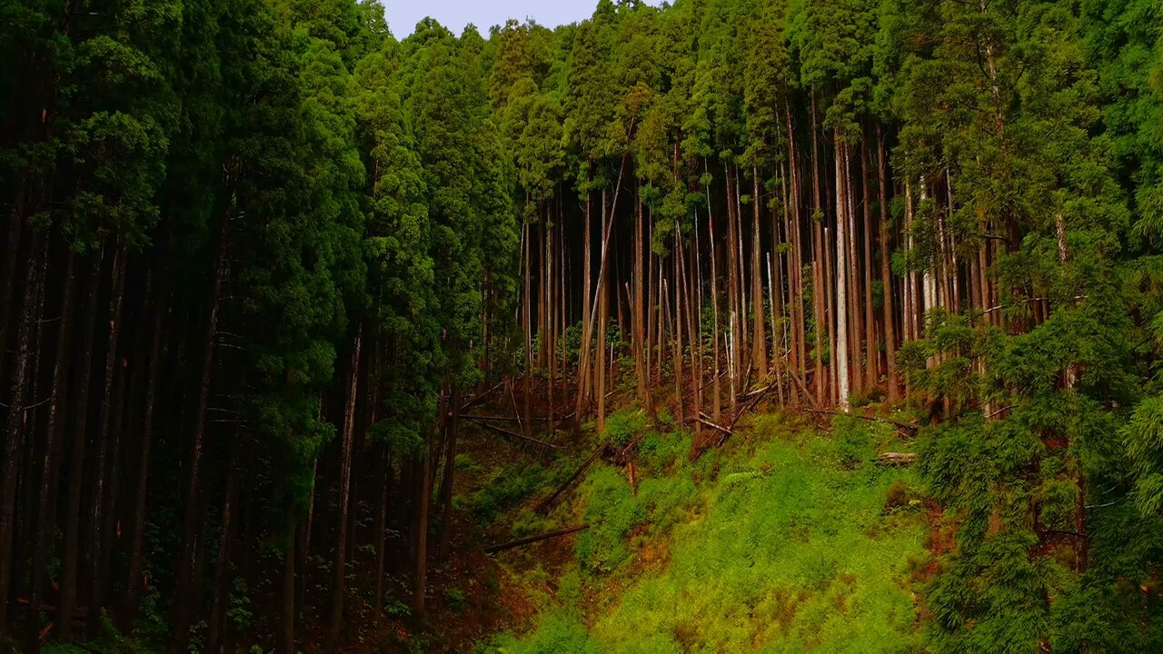 Discover the Azores: Europe's Best-Kept Secret 🌊 | Breathtaking 4K Landscapes