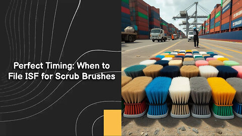 Demystifying ISF: Your Guide to Importing Scrub Brushes