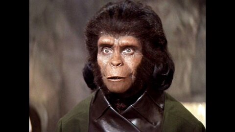 Blocked from a retarded Murican Bitchute channel