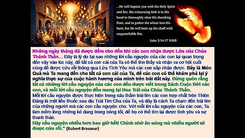 Thời gian sắp tới sẽ rất quan trọng đối với sự sống còn của các con. Hãy cầu nguyện nhiều hơn bao giờ hết