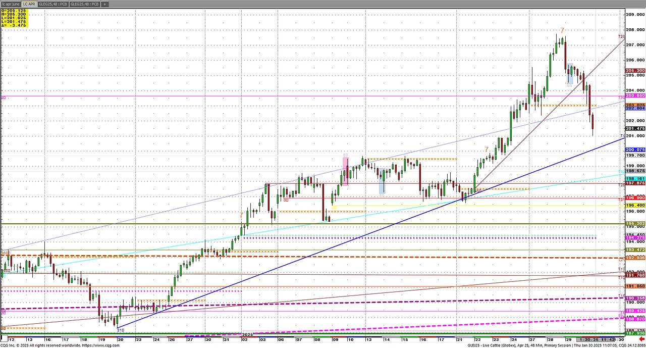 Feb3 Cattle Record Highs, USDA Report Funds Long+ Volatile Px.s