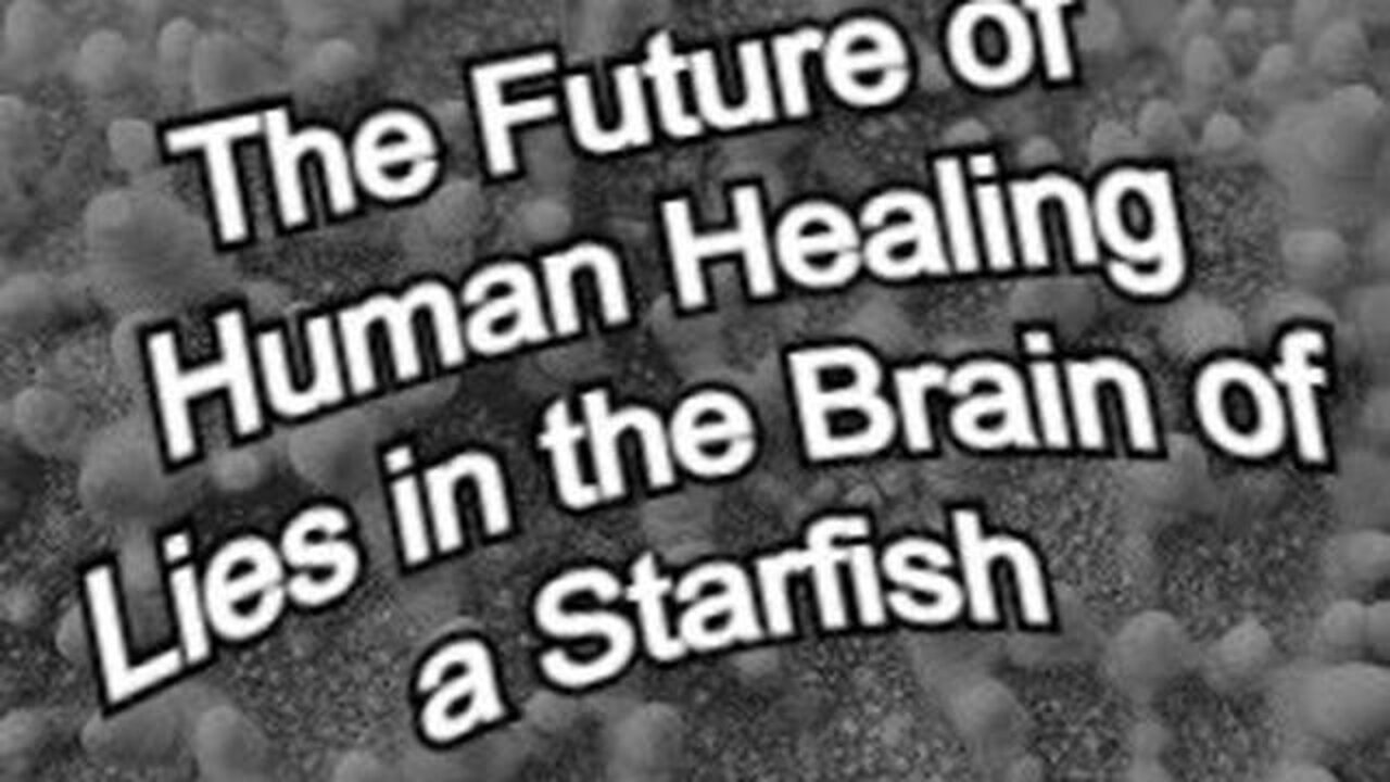 The Future of Human Healing Lies in the Brain of a Starfish ~By~ Decanterbury