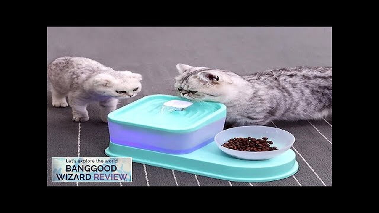 2L Pet dog Cat Water Fountain Drinking Electric Dispenser Drinker Silent Pet Review