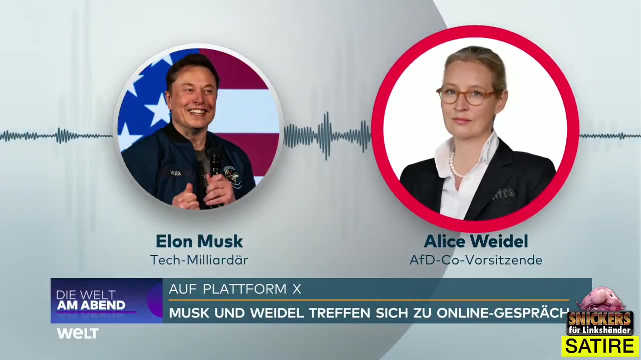 ENDLICH TACHELES - WEIDEL MIT MUSK ÜBER WAHRE PROBLEME IN BUNTLAND