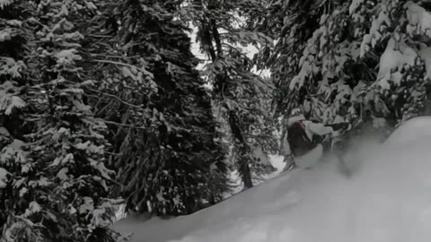 This run ended in DEEP powder