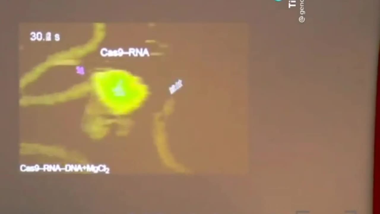 la proteína Cas9 cortando el ADN en tiempo real