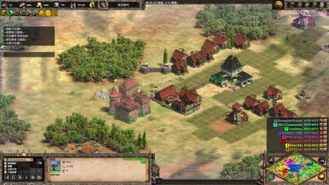 aoe2 維京 地中海