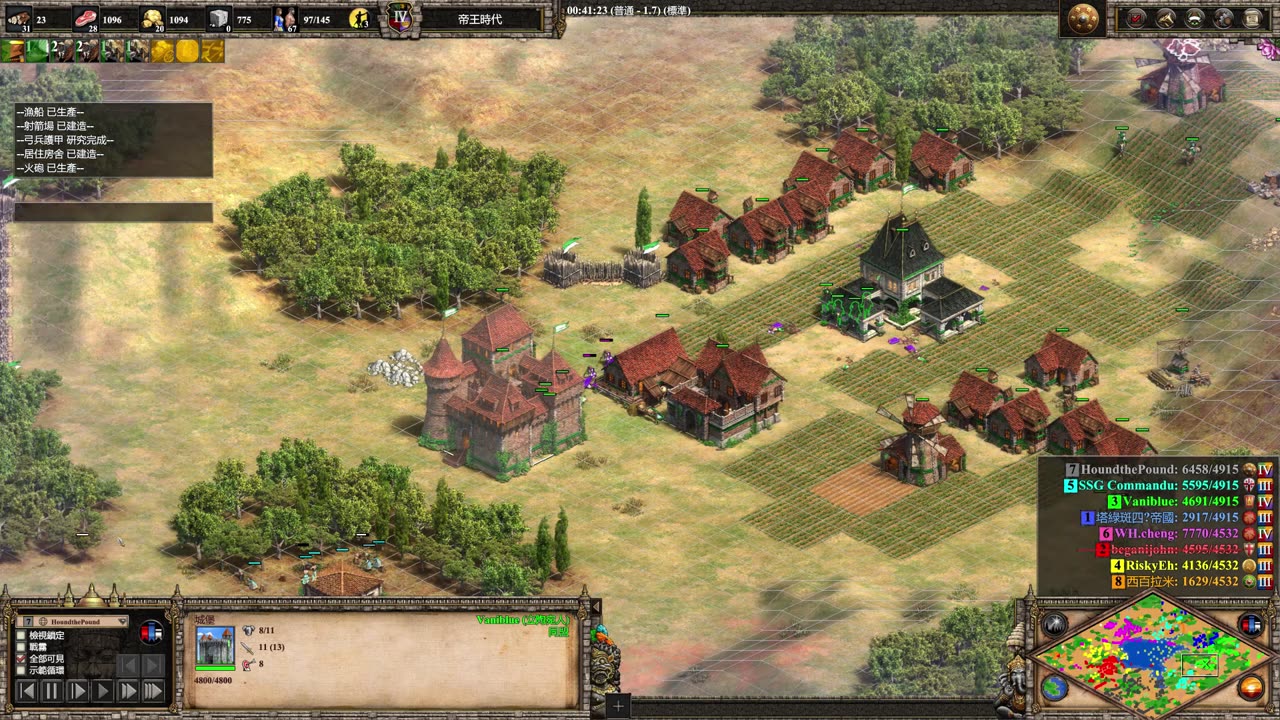 aoe2 維京 地中海