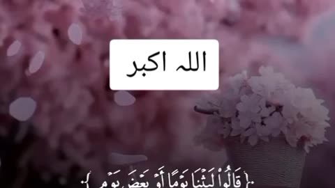 Allah hu akber ♥️✨🕊️