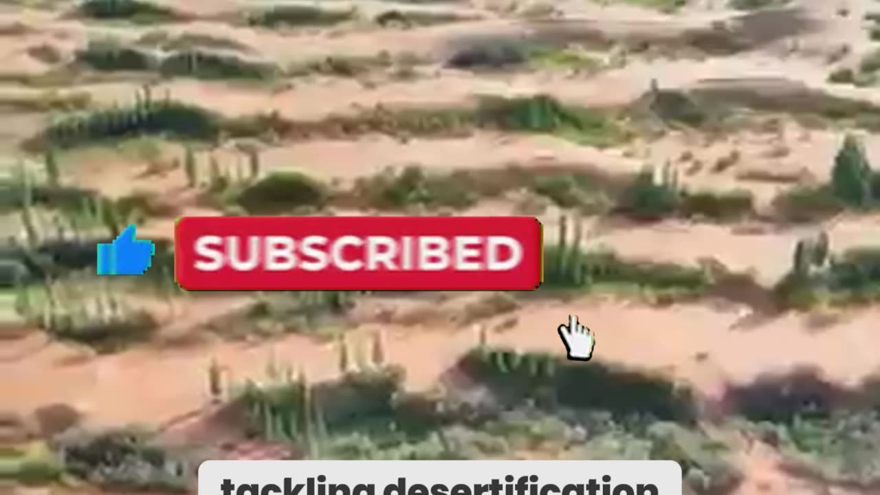 China's Green Wall: A Billion Trees to Save the Planet!