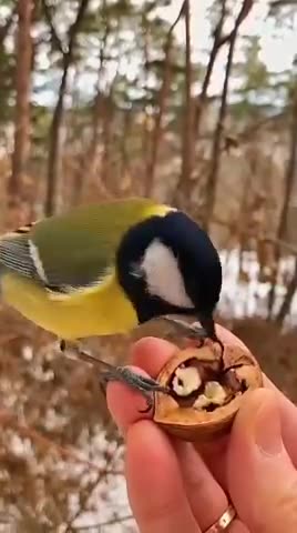 What cute little creatures they are