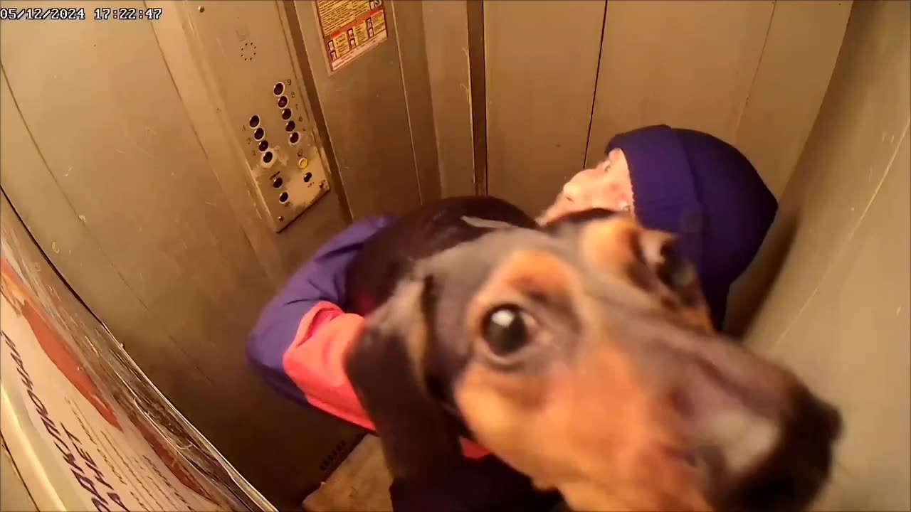 Doggy senses the watching eye behind the camera