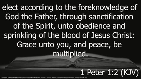 🤩 Must-Listen Bible Study: INTRO To New First Peter Series