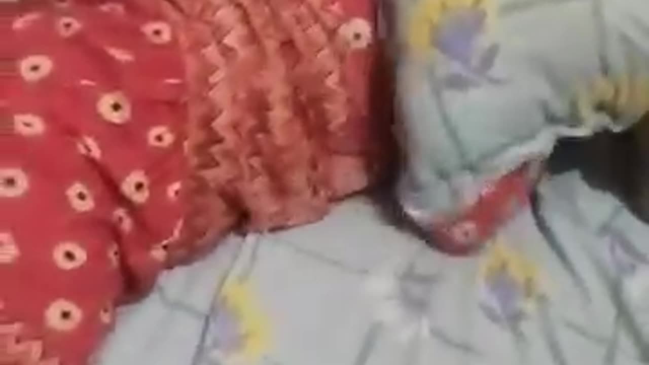 Get up, please, go play. 😠 😂