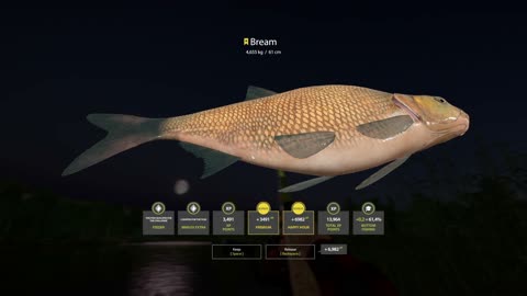 TROPHY BREAM, Mosquito Lake, Russian Fishing 4, PC game