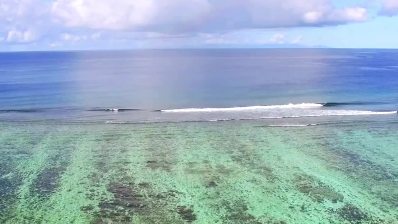 How a Dead Whale Brings Life to the Ocean | The Incredible Whale Fall