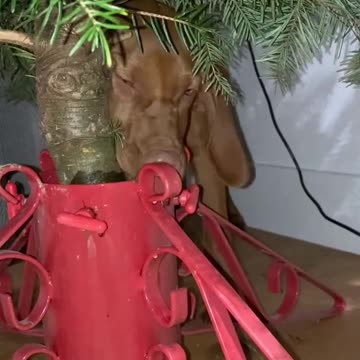 I guess that was better tasting water 😂