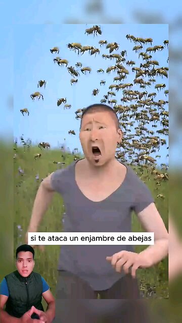 Que hacer si eres atacado por abejas 🐝