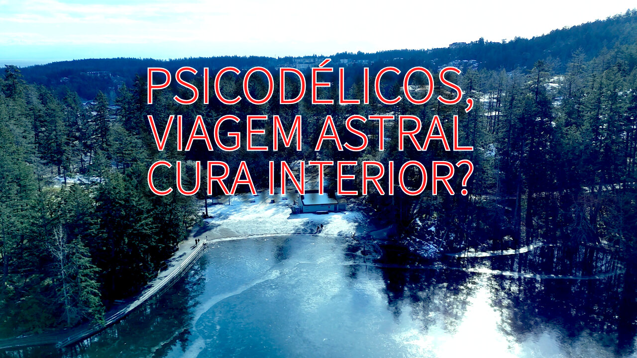 O poder de cura dos psicodélicos