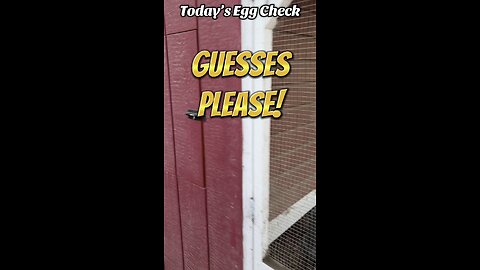 Today’s Egg Check!