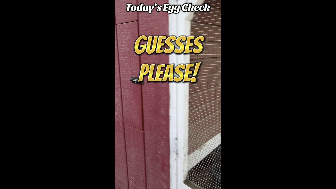 Today’s Egg Check!
