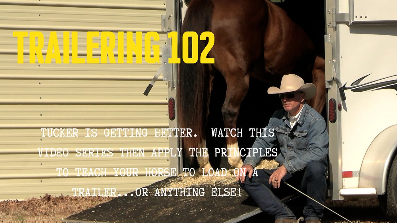 How to Load a Horse on a Trailer, Part 2