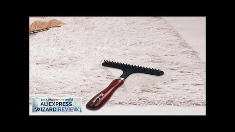 Carpet Rake Professional with Handle Multifunction Hair Cleaner Carpet Grooming Rake Review