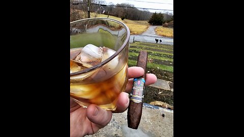 Culture Americano :: Catching up and updates. Also Maga Civil War Thoughts.