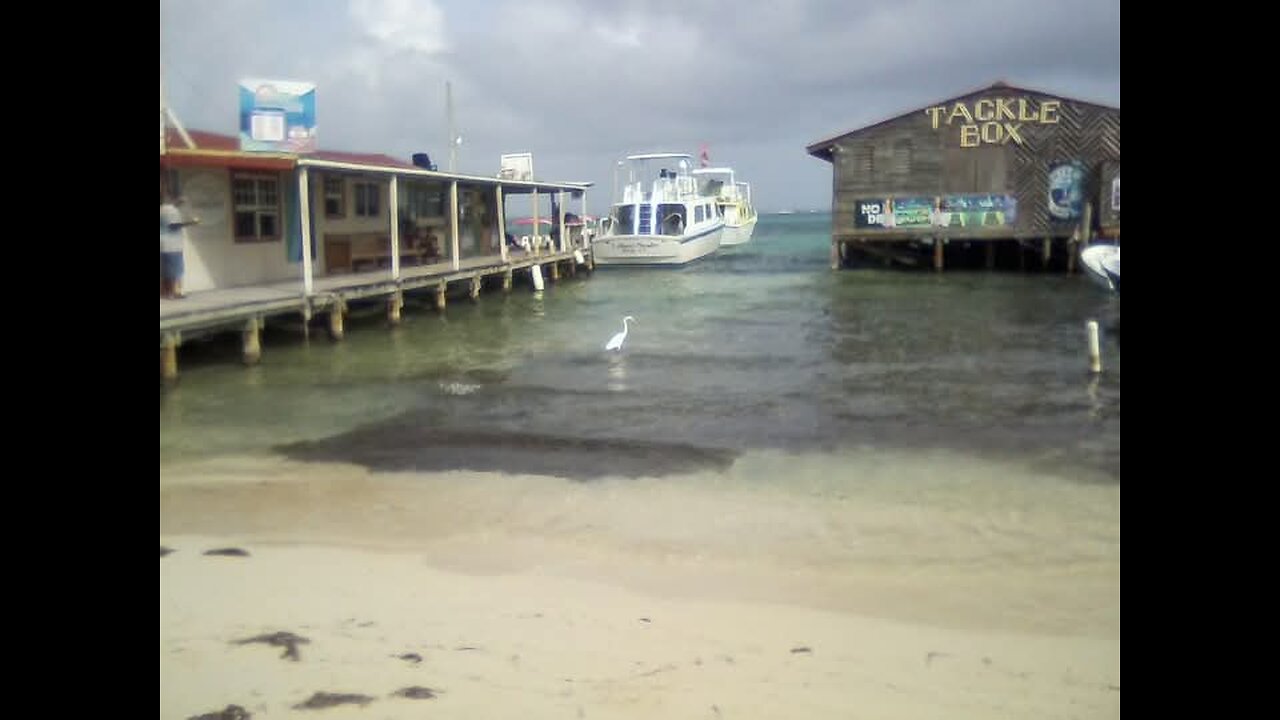 Belize Dive Centre, October 1993