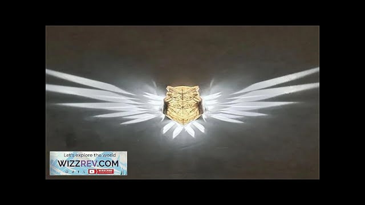 Eagle Owl Animal Projector Wall Lamp 3D Print Sconce Light Plastic Material Review