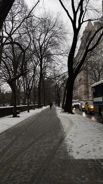 Gloomy walk at Central Park