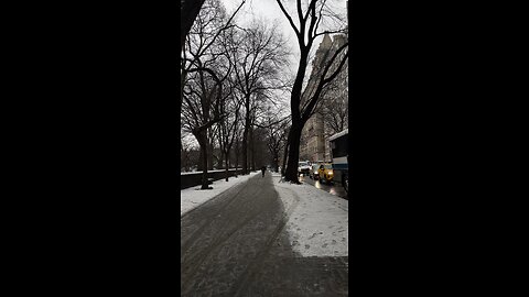 Gloomy walk at Central Park